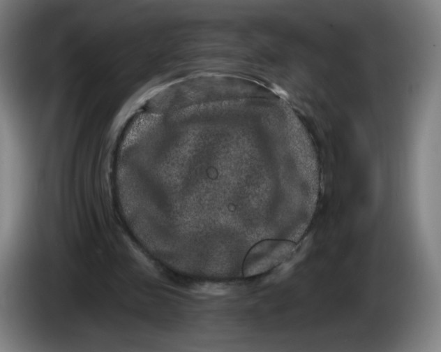 X0000085260341200703301837