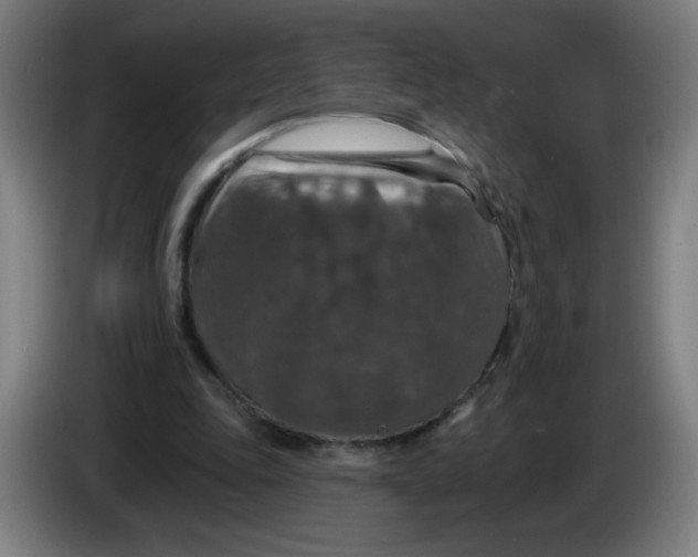 X0000085260343200703301837