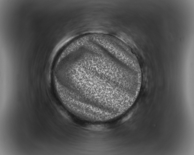 X0000085260344200703301837