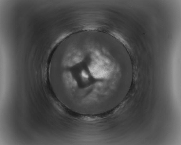 X0000085260346200703301837