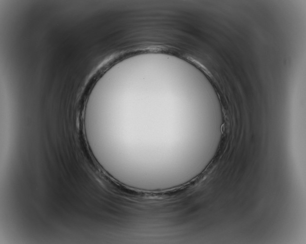 X0000085260350200703301837