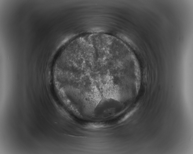 X0000085260351200703301837