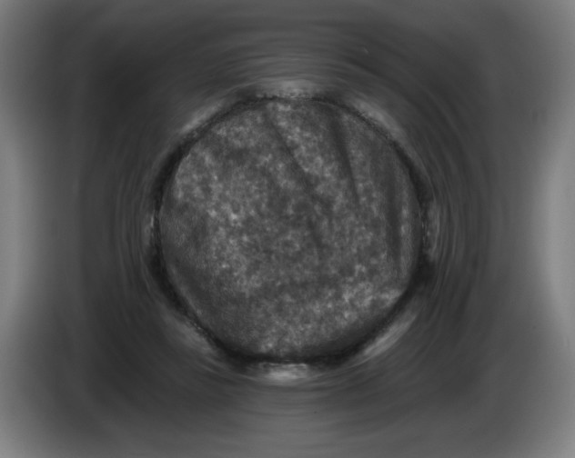 X0000085260355200703301837