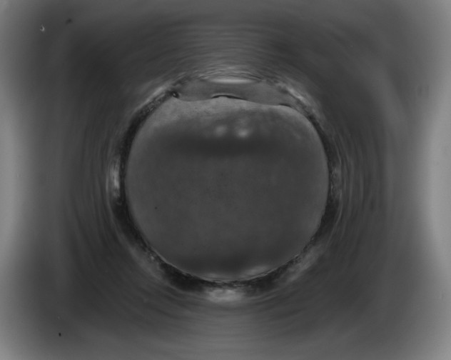 X0000085260358200703301837