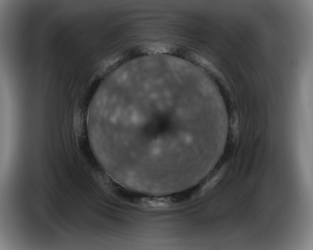 X0000085260359200703301837