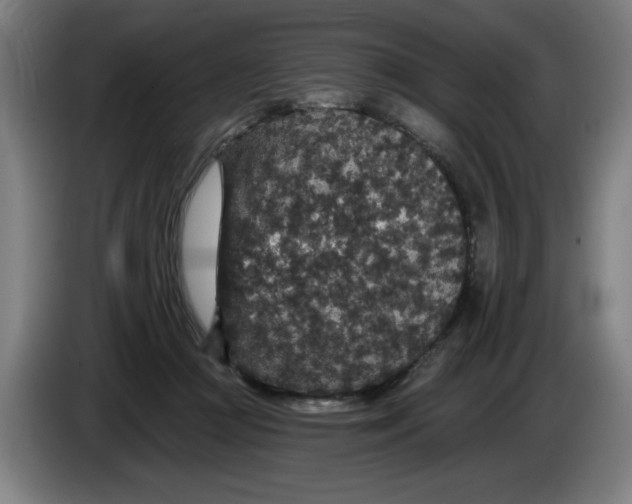 X0000085260361200703301837