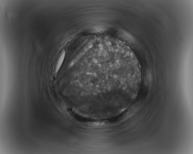 X0000085260366200703301837