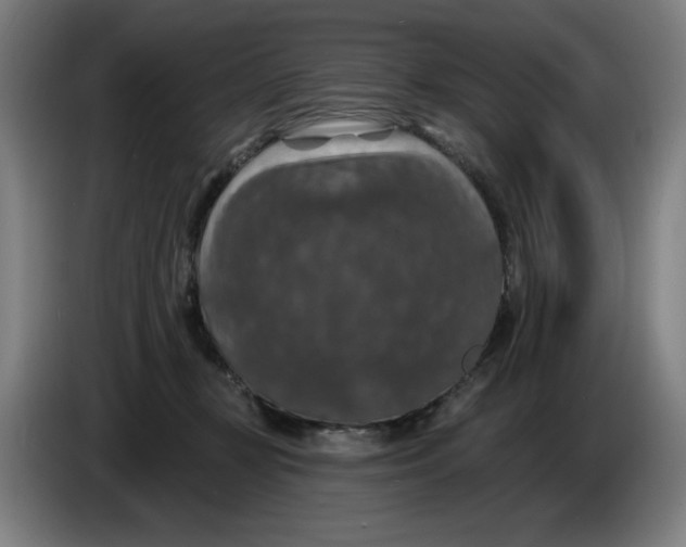 X0000085260367200703301837