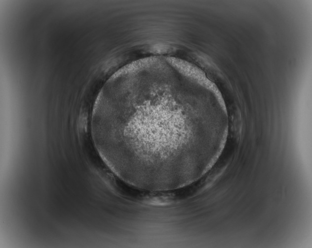 X0000085260368200703301838