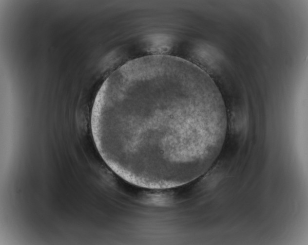 X0000085260370200703301838