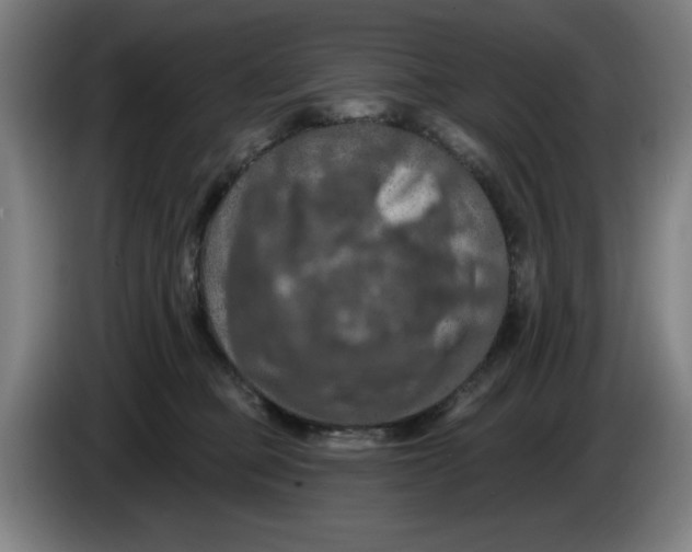 X0000085260373200703301838