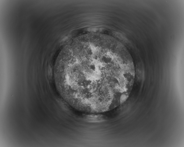 X0000085260375200703301838