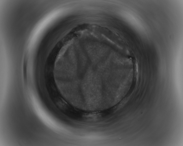 X0000085260383200703301838