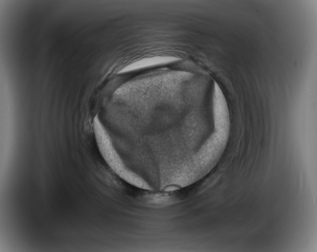 X0000085260384200703301838