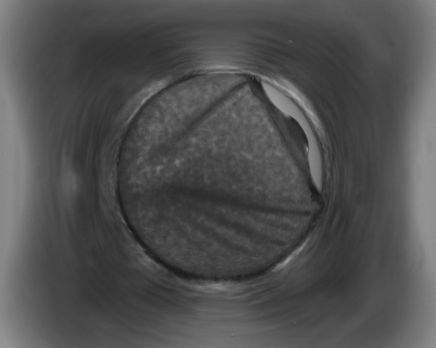 X0000085260385200703301837