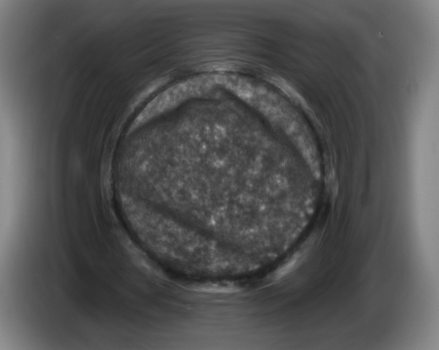 X0000085260386200703301837