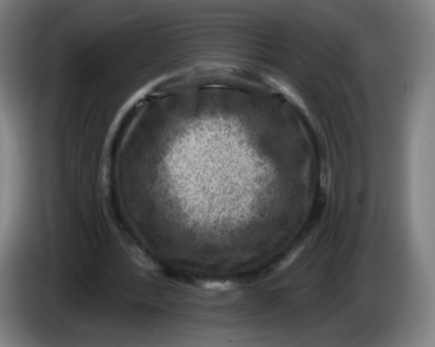 X0000085260388200703301837