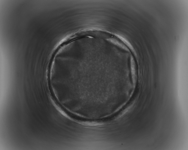 X0000085260389200703301837