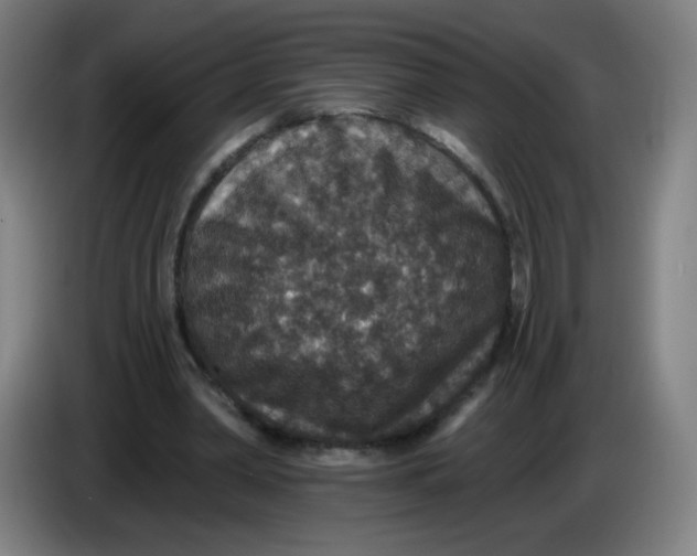 X0000085260390200703301837