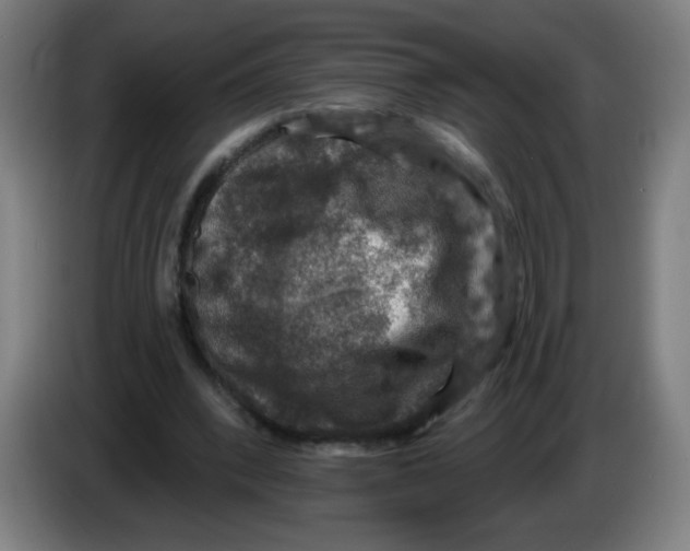 X0000085260392200703301837