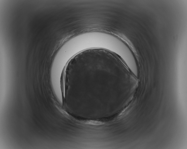 X0000085260393200703301837