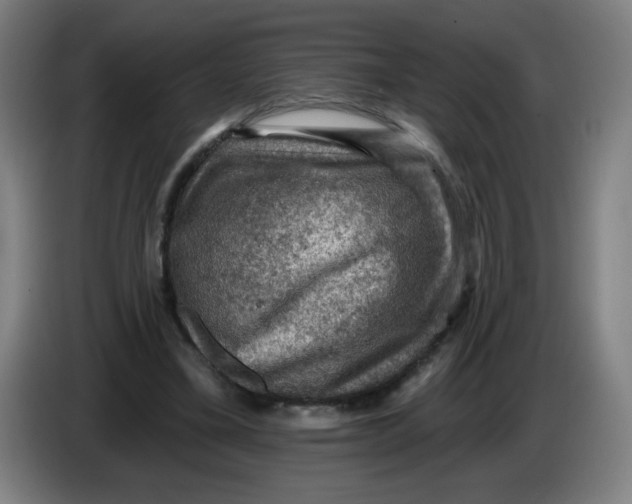 X0000085260395200703301837