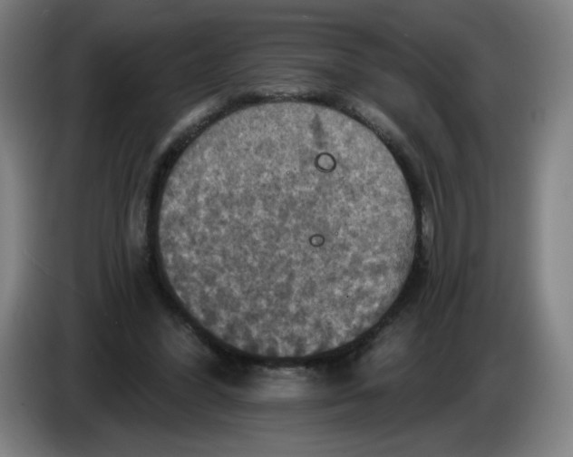 X0000085260396200703301837