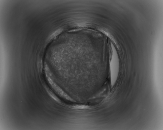 X0000085260397200703301837