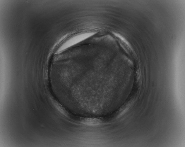 X0000085260399200703301837