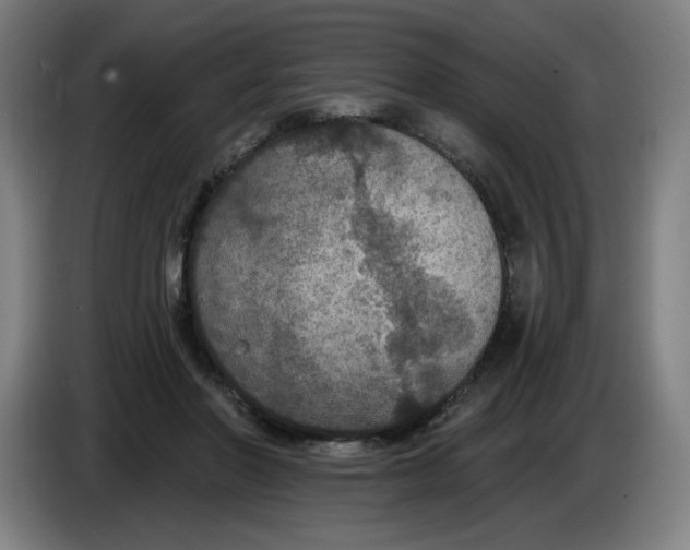 X0000085260406200703301837