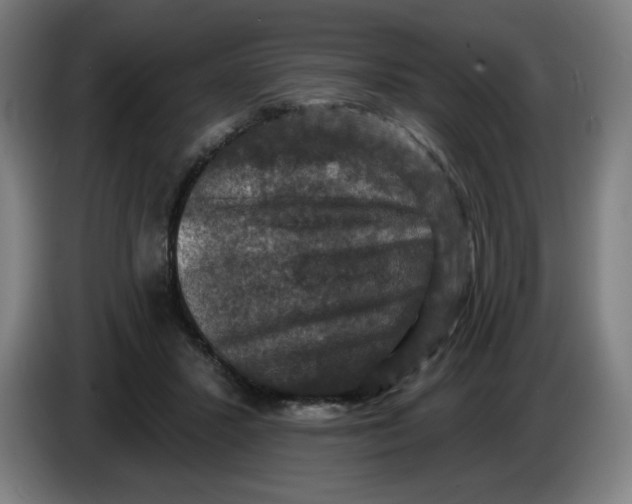 X0000085260407200703301837