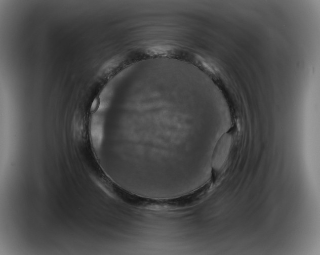 X0000085260408200703301837