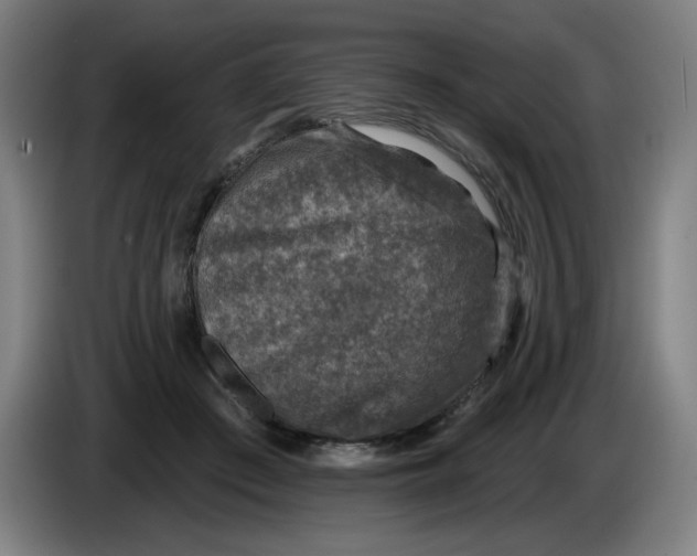 X0000085260409200703301837