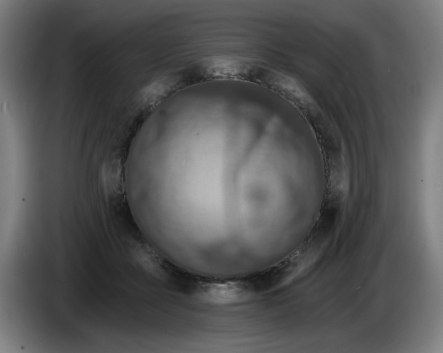 X0000085260411200703301837