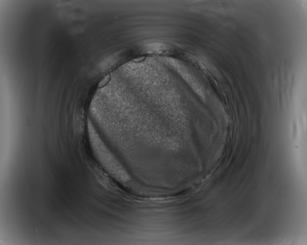 X0000085260413200703301837