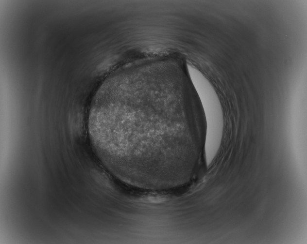 X0000085260416200703301837