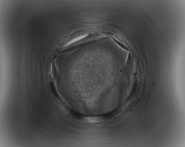 X0000085260417200703301837