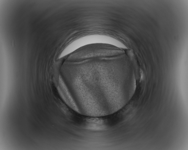 X0000085260421200703301837