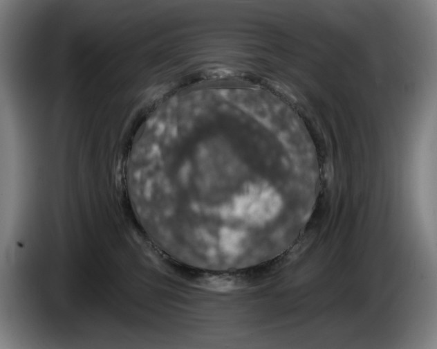 X0000085260423200703301837