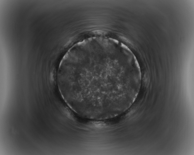 X0000085260424200703301837