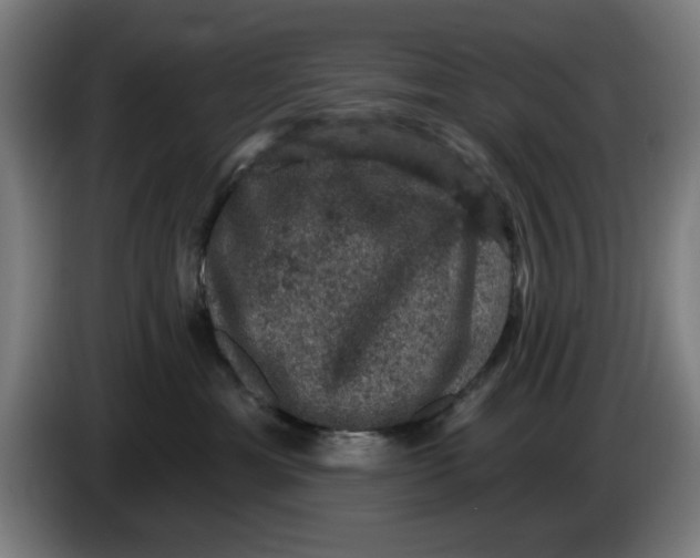 X0000085260429200703301836