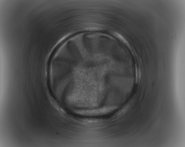 X0000085260435200703301836