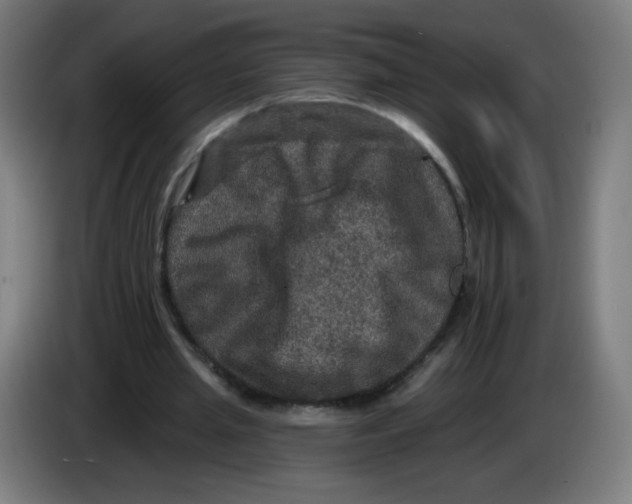 X0000085260437200703301836