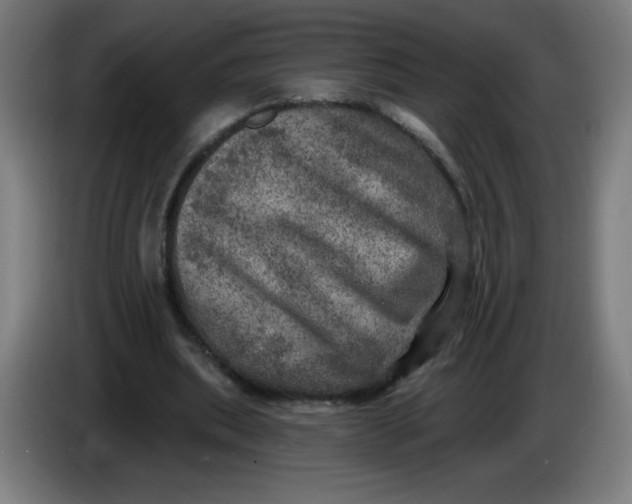 X0000085260439200703301836