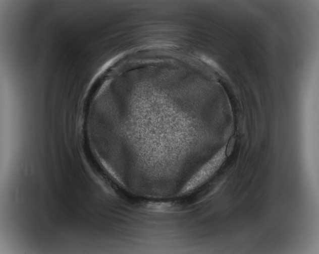 X0000085260440200703301836