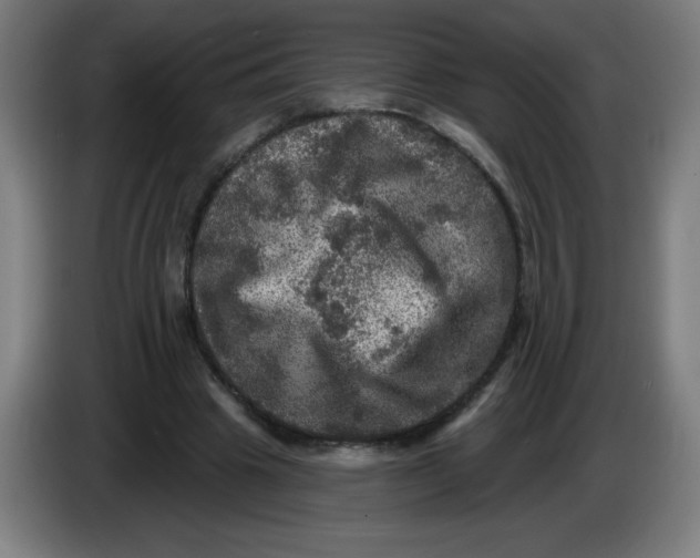 X0000085260441200703301836