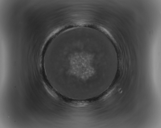 X0000085260443200703301836