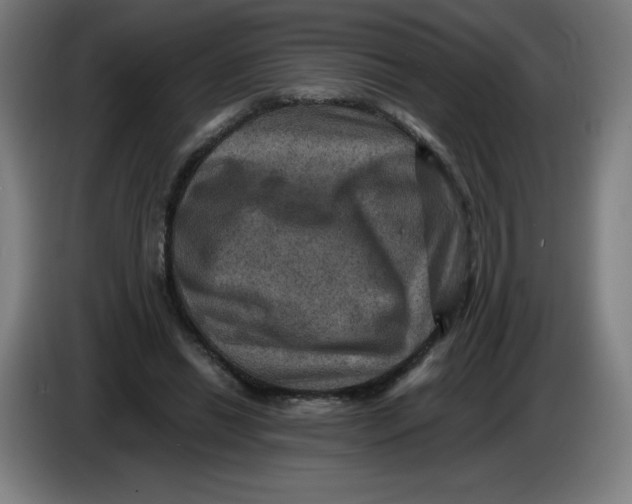 X0000085260446200703301836