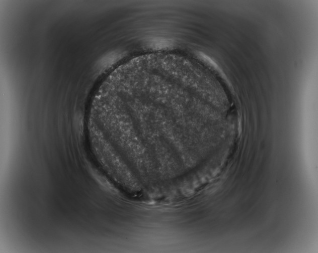 X0000085260447200703301836