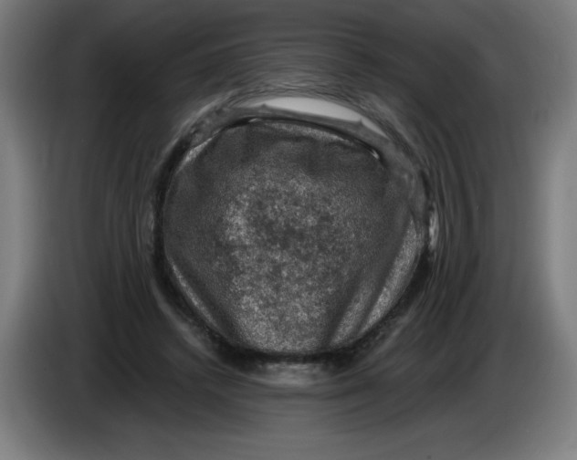 X0000085260448200703301836